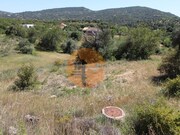 Terreno Rstico - So Brs de Alportel, So Brs de Alportel, Faro (Algarve) - Miniatura: 7/9
