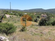 Terreno Rstico - So Brs de Alportel, So Brs de Alportel, Faro (Algarve) - Miniatura: 8/9
