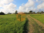Terreno Urbano - Quelfes, Olh�o, Faro (Algarve) - Miniatura: 8/9
