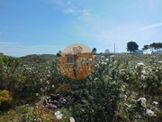 Terreno R�stico - Vila Nova de Cacela, Vila Real de Santo Ant�nio, Faro (Algarve) - Miniatura: 5/6