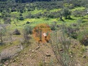 Terreno R�stico - Azinhal, Castro Marim, Faro (Algarve) - Miniatura: 3/9