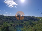 Terreno R�stico - Azinhal, Castro Marim, Faro (Algarve) - Miniatura: 7/9
