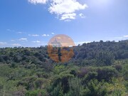Terreno R�stico - Azinhal, Castro Marim, Faro (Algarve) - Miniatura: 8/9