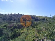 Terreno R�stico - Azinhal, Castro Marim, Faro (Algarve) - Miniatura: 9/9