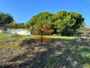 Terreno R�stico - Moncarapacho, Olh�o, Faro (Algarve) - Miniatura: 6/9