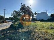 Terreno R�stico - Moncarapacho, Olh�o, Faro (Algarve) - Miniatura: 7/9
