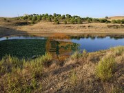 Terreno R�stico - Castro Marim, Castro Marim, Faro (Algarve) - Miniatura: 2/7