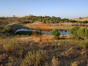 Terreno R�stico - Castro Marim, Castro Marim, Faro (Algarve) - Miniatura: 4/7
