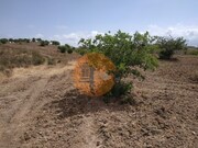 Terreno R�stico - Castro Marim, Castro Marim, Faro (Algarve) - Miniatura: 5/7