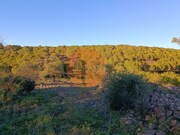 Terreno R�stico - Odeleite, Castro Marim, Faro (Algarve) - Miniatura: 8/9