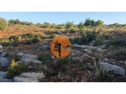 Terreno R�stico - Moncarapacho, Olh�o, Faro (Algarve) - Miniatura: 9/9