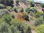 Terreno R�stico - Altura, Castro Marim, Faro (Algarve) - Miniatura: 3/9