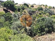Terreno R�stico - Altura, Castro Marim, Faro (Algarve) - Miniatura: 5/9