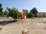 Bar/Restaurante - Castro Marim, Castro Marim, Faro (Algarve) - Miniatura: 6/9