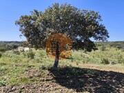 Terreno R�stico - Azinhal, Castro Marim, Faro (Algarve) - Miniatura: 4/6
