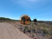 Terreno R�stico - Azinhal, Castro Marim, Faro (Algarve) - Miniatura: 5/6