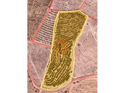 Terreno R�stico - Alcoutim, Alcoutim, Faro (Algarve) - Miniatura: 1/9