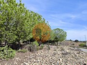 Terreno R�stico - Alcoutim, Alcoutim, Faro (Algarve) - Miniatura: 5/9