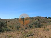 Terreno R�stico - Azinhal, Castro Marim, Faro (Algarve) - Miniatura: 4/9