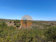 Terreno R�stico - Azinhal, Castro Marim, Faro (Algarve) - Miniatura: 7/9