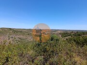 Terreno R�stico - Azinhal, Castro Marim, Faro (Algarve) - Miniatura: 8/9