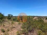 Terreno R�stico - Azinhal, Castro Marim, Faro (Algarve) - Miniatura: 9/9