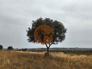 Terreno Urbano - Castro Marim, Castro Marim, Faro (Algarve) - Miniatura: 3/9