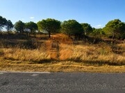Terreno R�stico - Odeleite, Castro Marim, Faro (Algarve) - Miniatura: 2/9