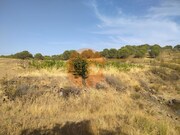 Terreno R�stico - Odeleite, Castro Marim, Faro (Algarve) - Miniatura: 3/9