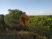 Terreno R�stico - Odeleite, Castro Marim, Faro (Algarve) - Miniatura: 6/9