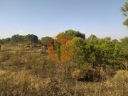 Terreno R�stico - Odeleite, Castro Marim, Faro (Algarve) - Miniatura: 8/9