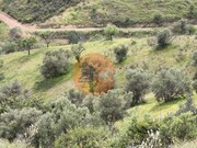 Terreno R�stico - Castro Marim, Castro Marim, Faro (Algarve) - Miniatura: 5/8