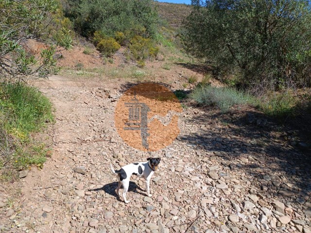 Terreno R�stico - Odeleite, Castro Marim, Faro (Algarve) - Imagem grande