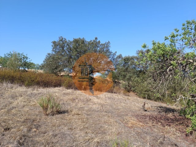 Terreno Rústico - Azinhal, Castro Marim, Faro (Algarve) - Imagem grande