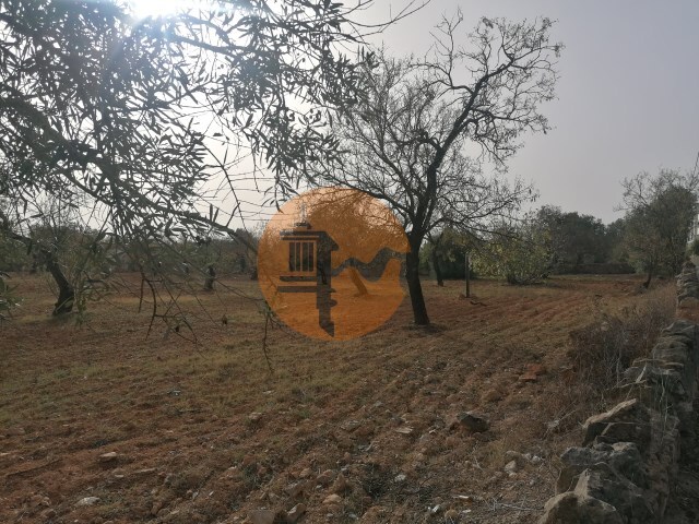 Terreno Urbano - Concei��o, Faro, Faro (Algarve) - Imagem grande