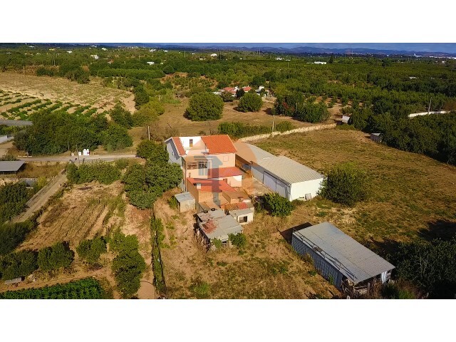 Quinta T3 - Tavira, Tavira, Faro (Algarve) - Imagem grande