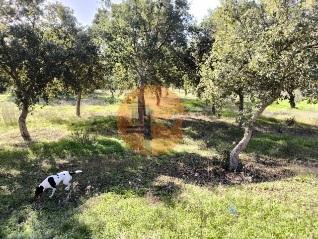 Terreno R�stico - Odeleite, Castro Marim, Faro (Algarve) - Imagem grande