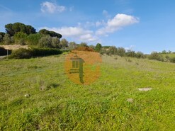Terreno R�stico - S�o Jo�o da Ribeira, Rio Maior, Santar�m