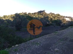 Terreno R�stico - S�o Br�s de Alportel, S�o Br�s de Alportel, Faro (Algarve)