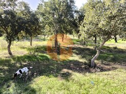 Terreno R�stico - Odeleite, Castro Marim, Faro (Algarve)
