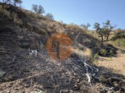 Terreno R�stico - Azinhal, Castro Marim, Faro (Algarve) - Miniatura: 5/9