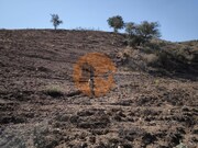 Terreno R�stico - Azinhal, Castro Marim, Faro (Algarve) - Miniatura: 6/9