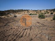 Terreno R�stico - Azinhal, Castro Marim, Faro (Algarve) - Miniatura: 7/9