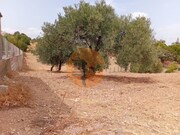Terreno R�stico - Vila Nova de Cacela, Vila Real de Santo Ant�nio, Faro (Algarve) - Miniatura: 7/9