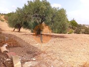 Terreno R�stico - Vila Nova de Cacela, Vila Real de Santo Ant�nio, Faro (Algarve) - Miniatura: 9/9