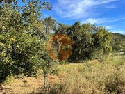 Terreno R�stico - Salir, Loul�, Faro (Algarve) - Miniatura: 1/9