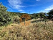 Terreno R�stico - Salir, Loul�, Faro (Algarve) - Miniatura: 3/9