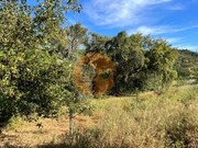 Terreno R�stico - Salir, Loul�, Faro (Algarve) - Miniatura: 4/9