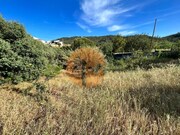 Terreno R�stico - Salir, Loul�, Faro (Algarve) - Miniatura: 6/9