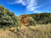 Terreno R�stico - Salir, Loul�, Faro (Algarve) - Miniatura: 7/9